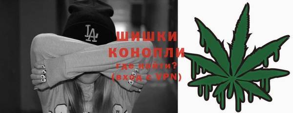 стафф Новозыбков