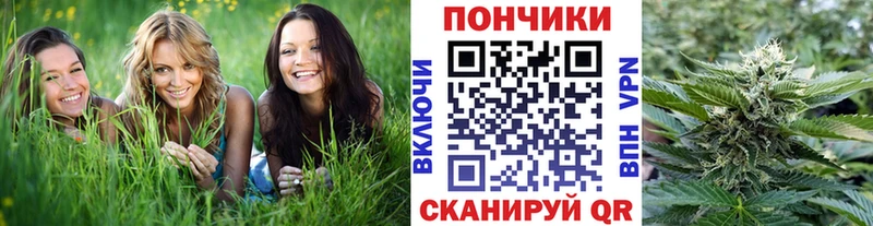 Канабис планчик Кашин